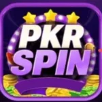 PKR SPIN Game