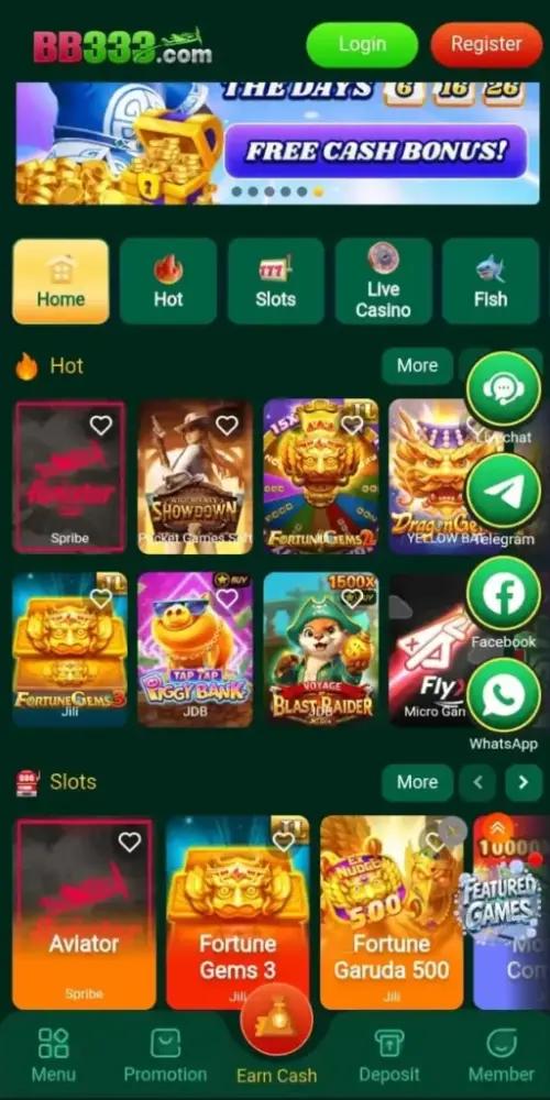 BB333 Game
