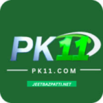 PK11 Game